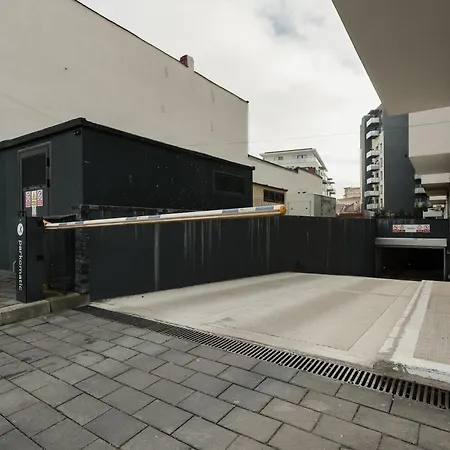 Nest Magic Cluj-Napoca